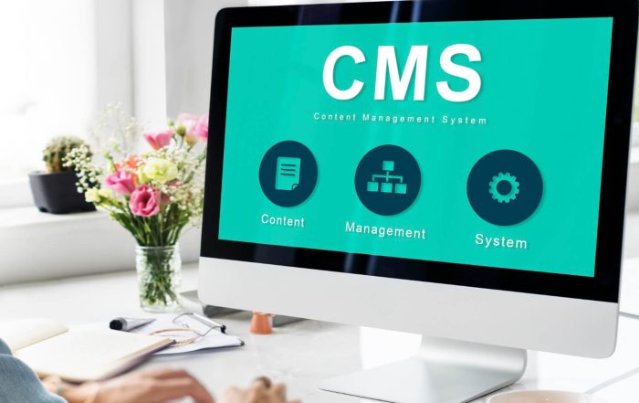 a person using a CMS