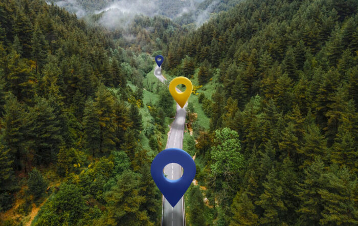 tracking concept art, map pins through forest road