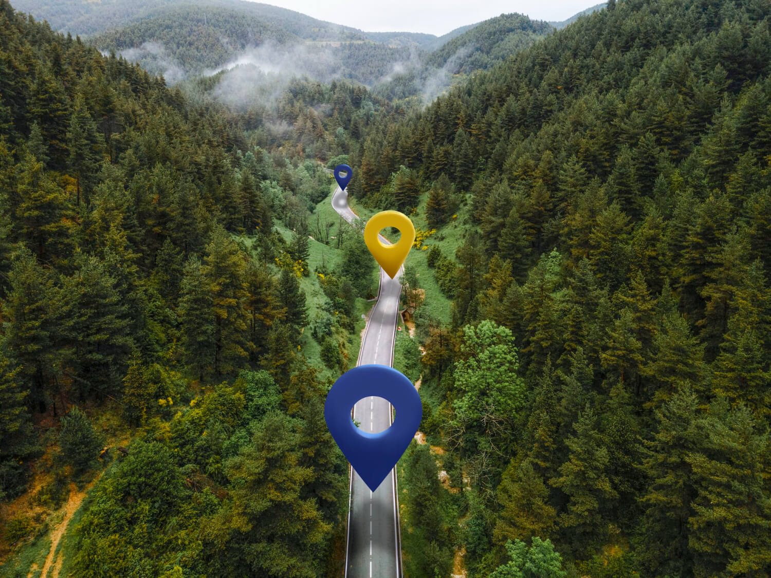 tracking concept art, map pins through forest road